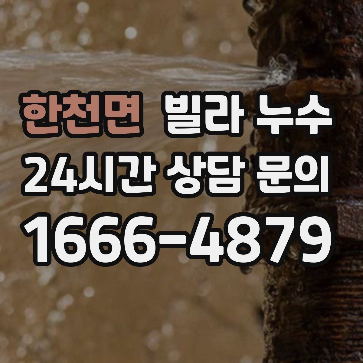 한천면 빌라 누수 세탁실 배수구 역류로 바닥이 젖는다면