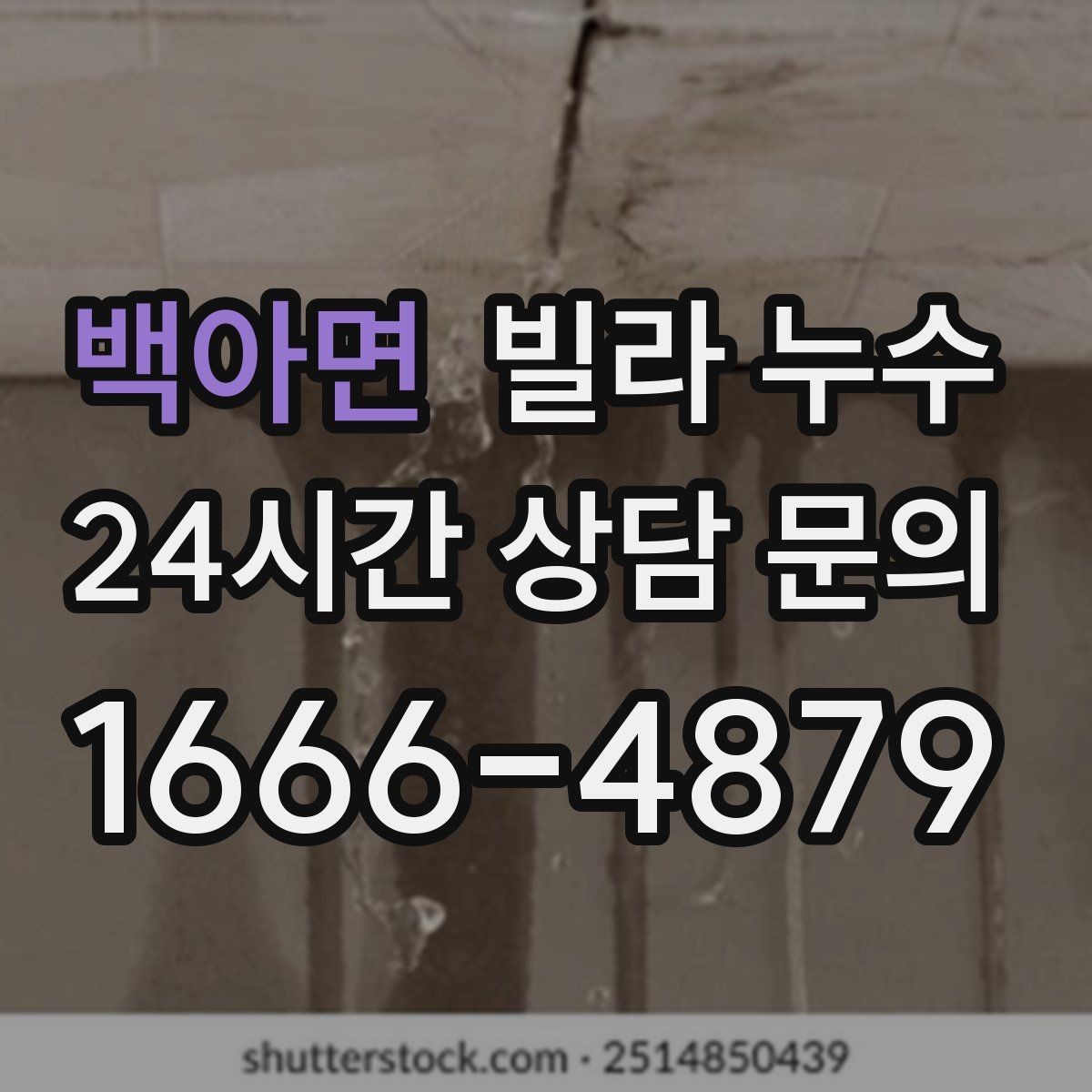 백아면 빌라 누수 샤워 후 벽이 젖으면 욕실 누수 의심