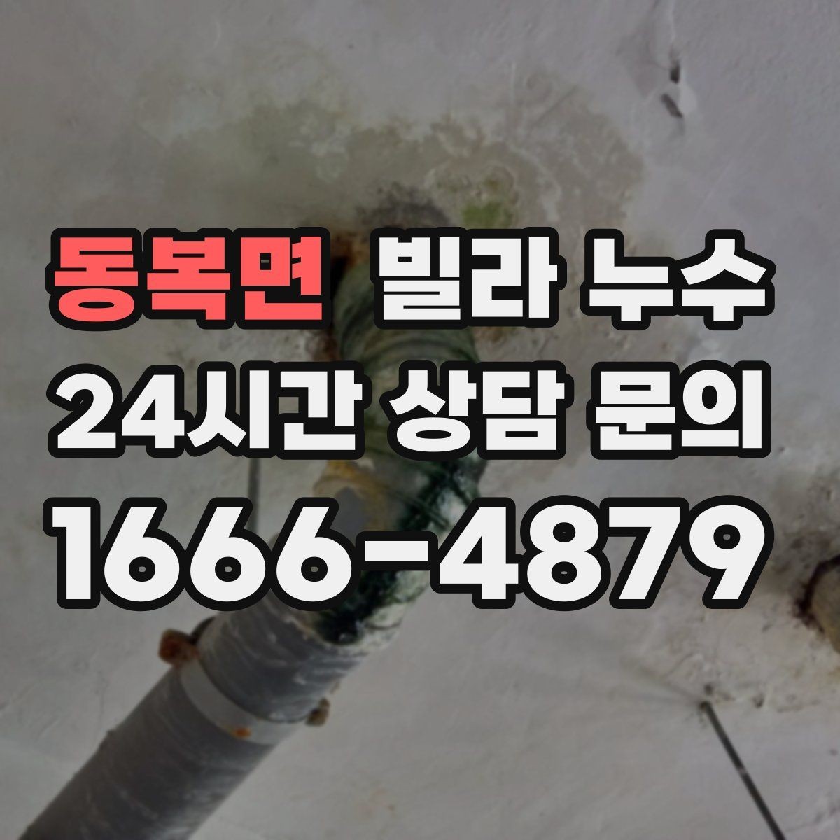 동복면 빌라 누수 섣불리 도배부터 하면 재발할 수 있어요