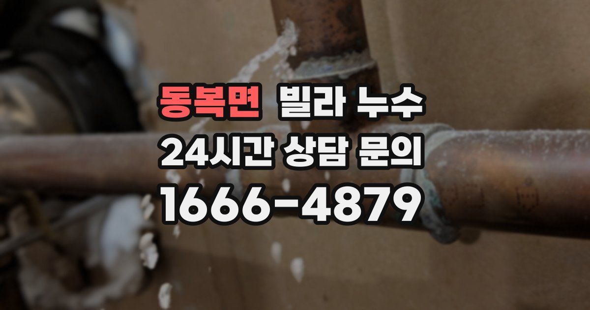 동복면 빌라 누수