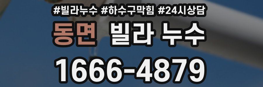 동면 빌라 누수