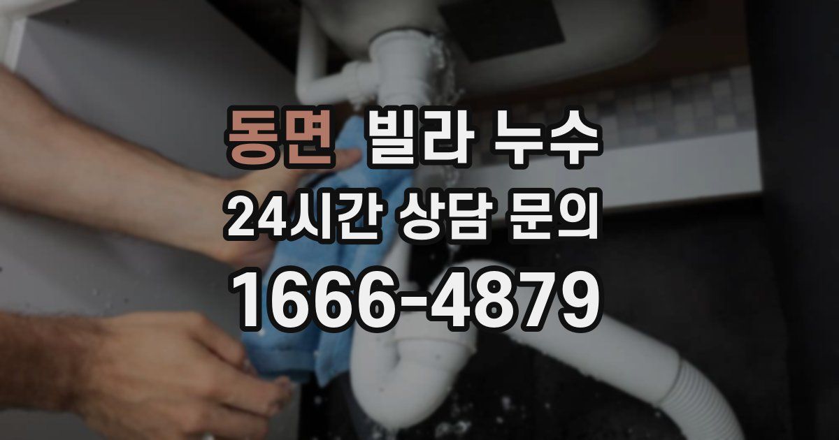 동면 빌라 누수