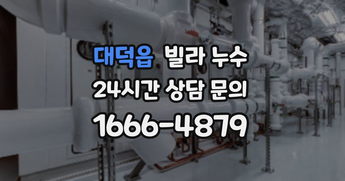 대덕읍 빌라 누수