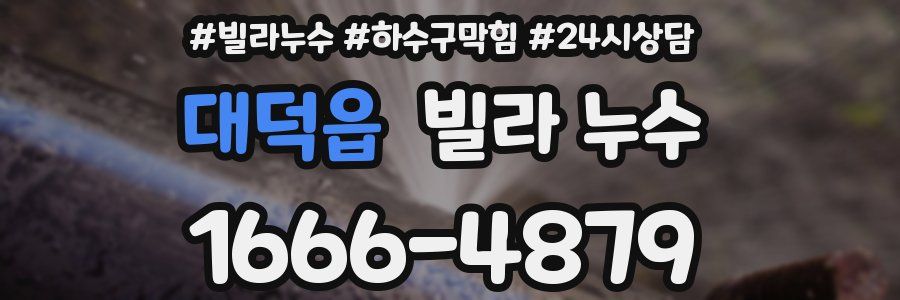 대덕읍 빌라 누수