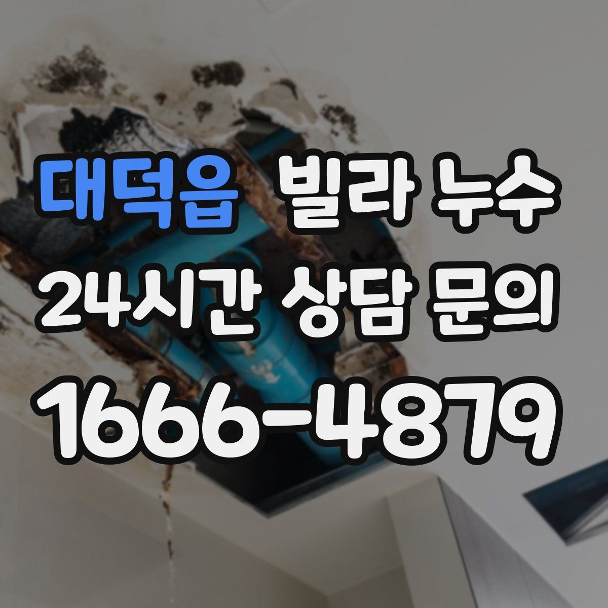 대덕읍 빌라 누수