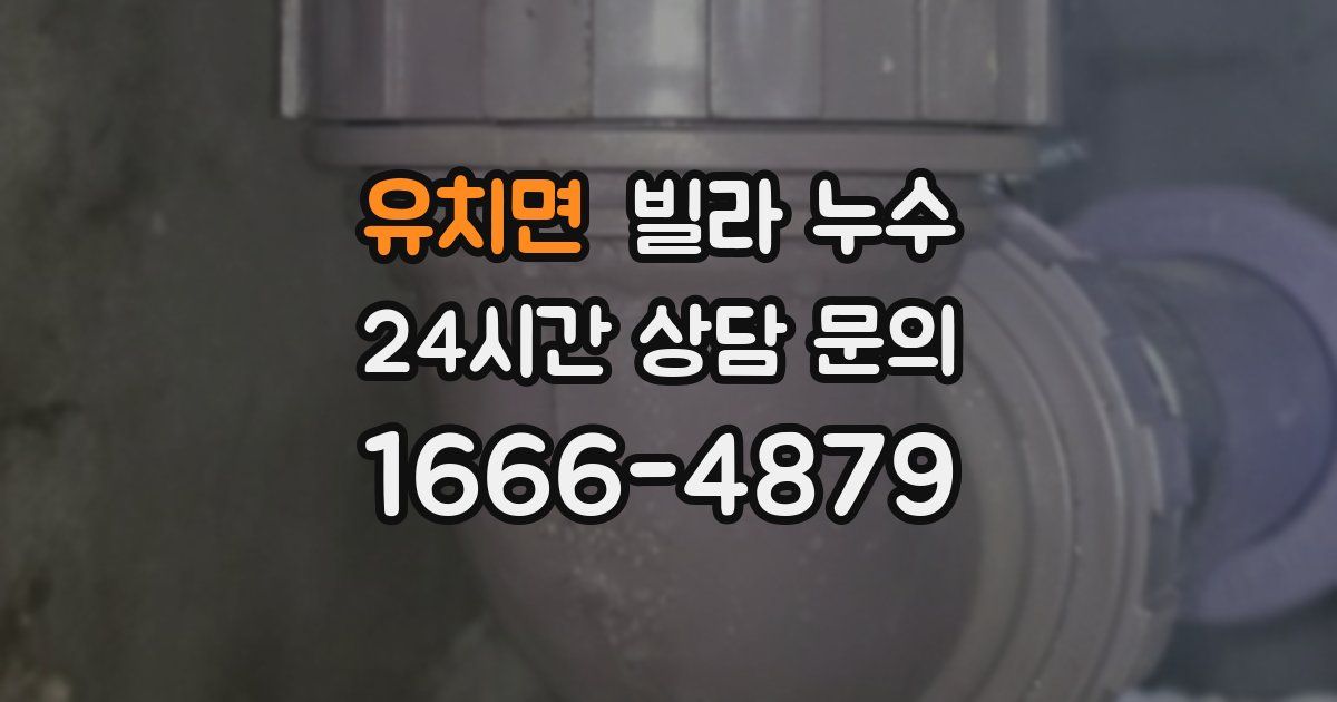 유치면 빌라 누수