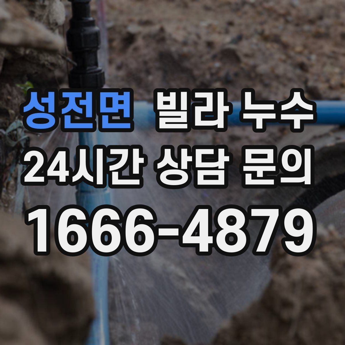 성전면 빌라 누수 배수구 역류가 누수처럼 보일 때