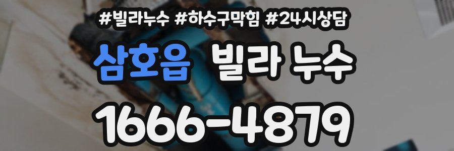 삼호읍 빌라 누수