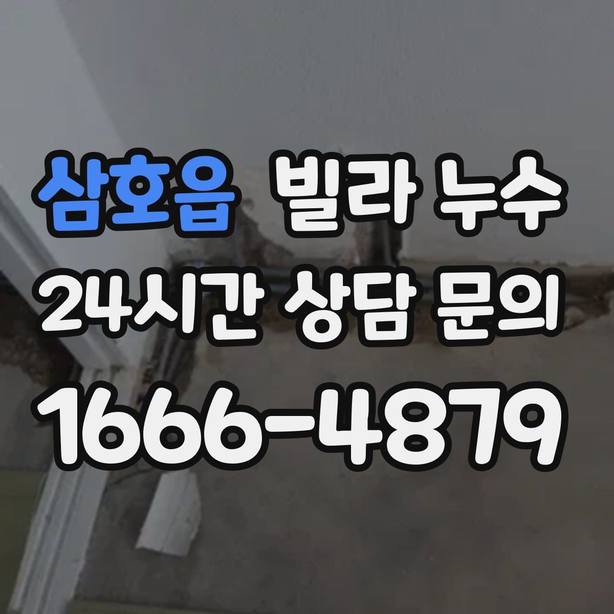 삼호읍 빌라 누수