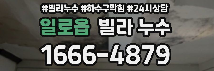 일로읍 빌라 누수