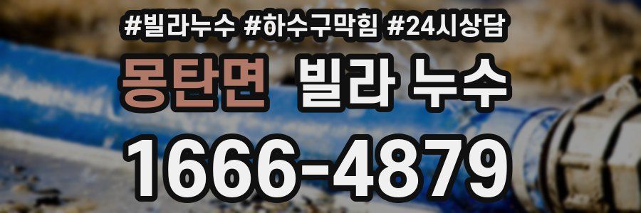 몽탄면 빌라 누수