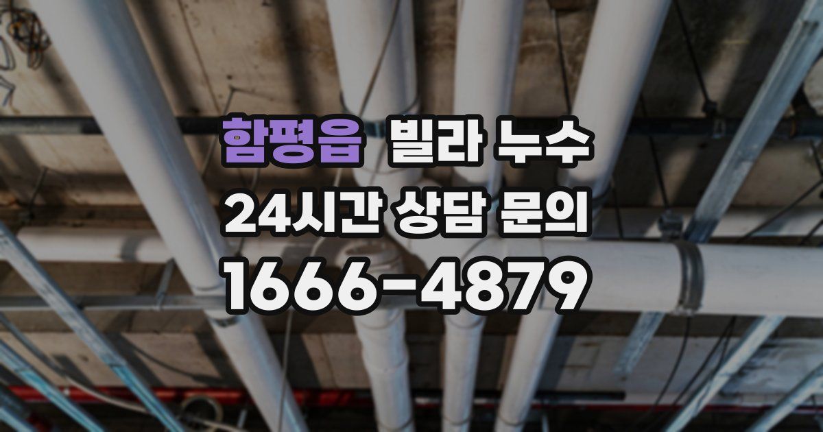 함평읍 빌라 누수