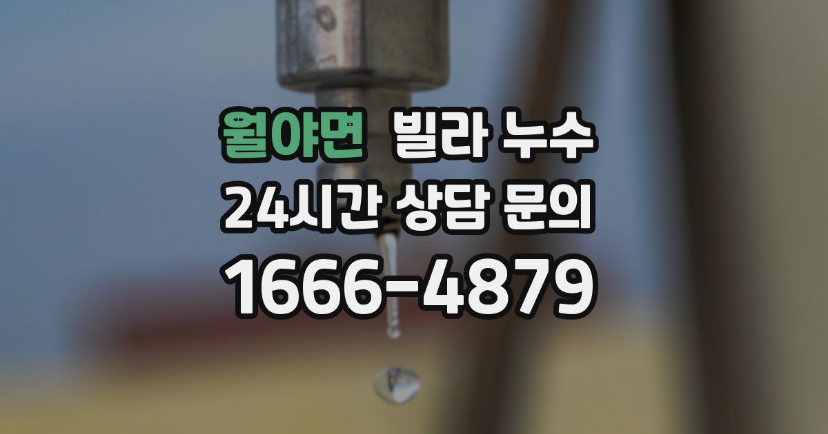 월야면 빌라 누수