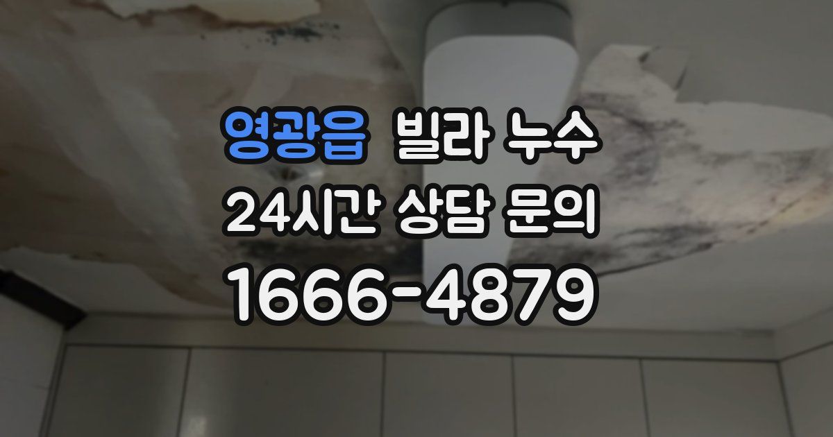 영광읍 빌라 누수