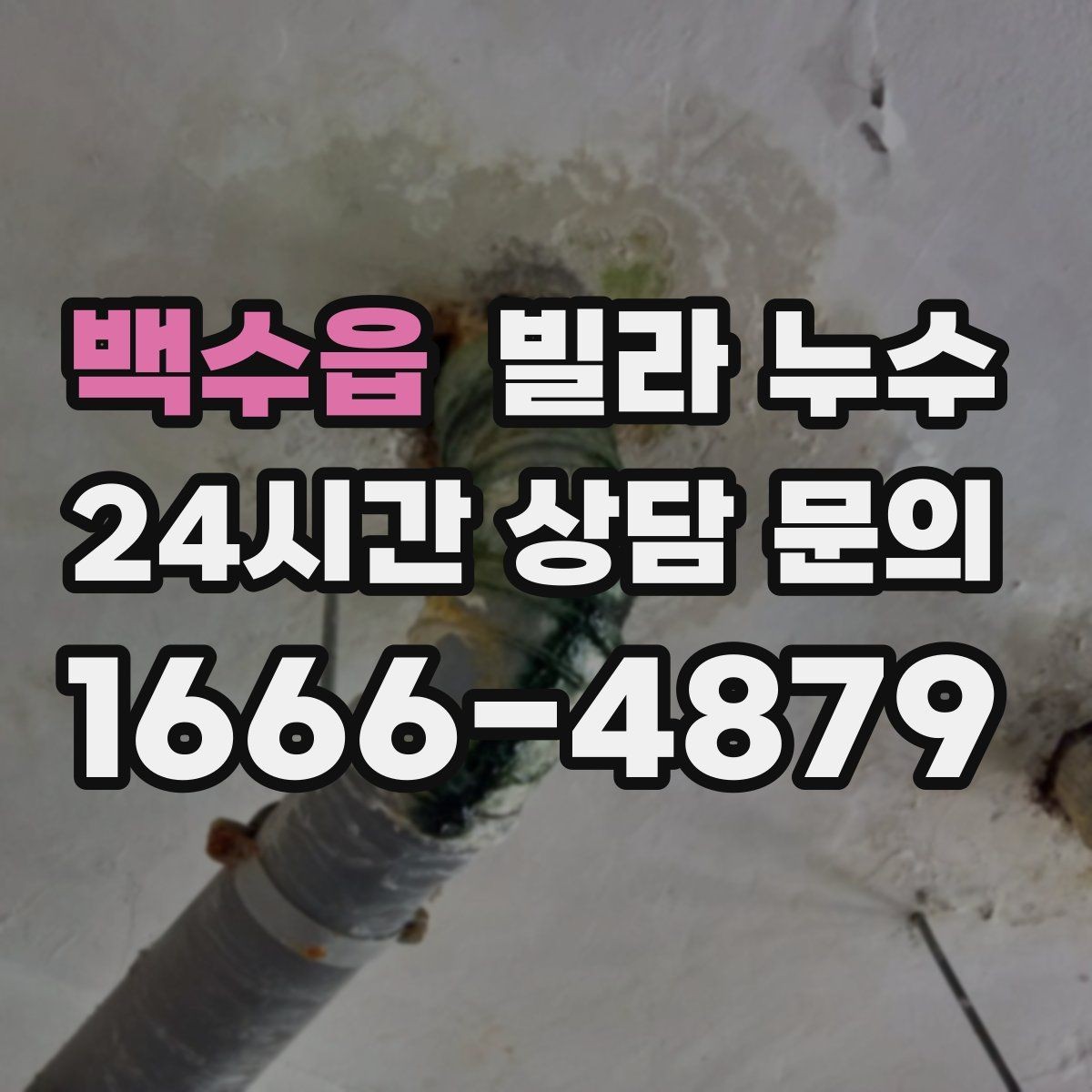 백수읍 빌라 누수 천장 얼룩이 길게 흐르면 경로가 다를 수 있어요