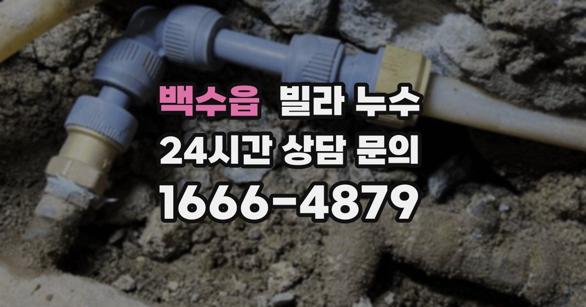 백수읍 빌라 누수