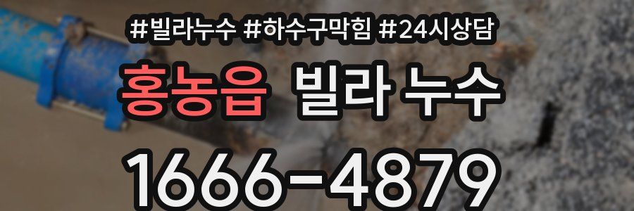 홍농읍 빌라 누수