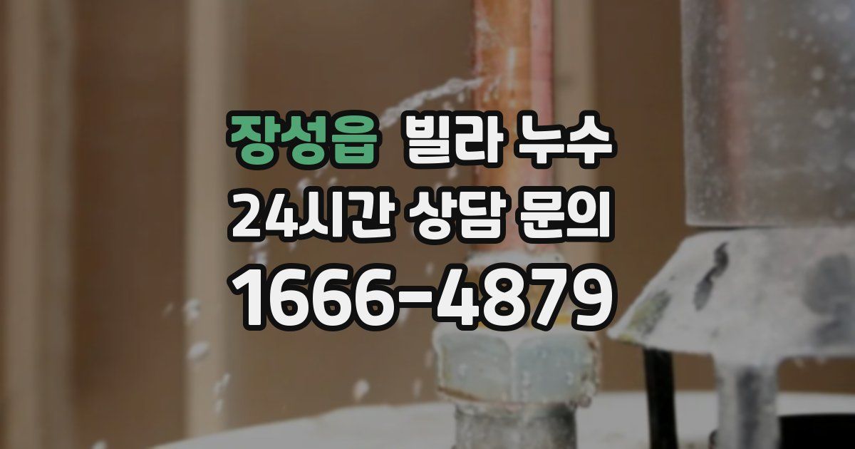 장성읍 빌라 누수