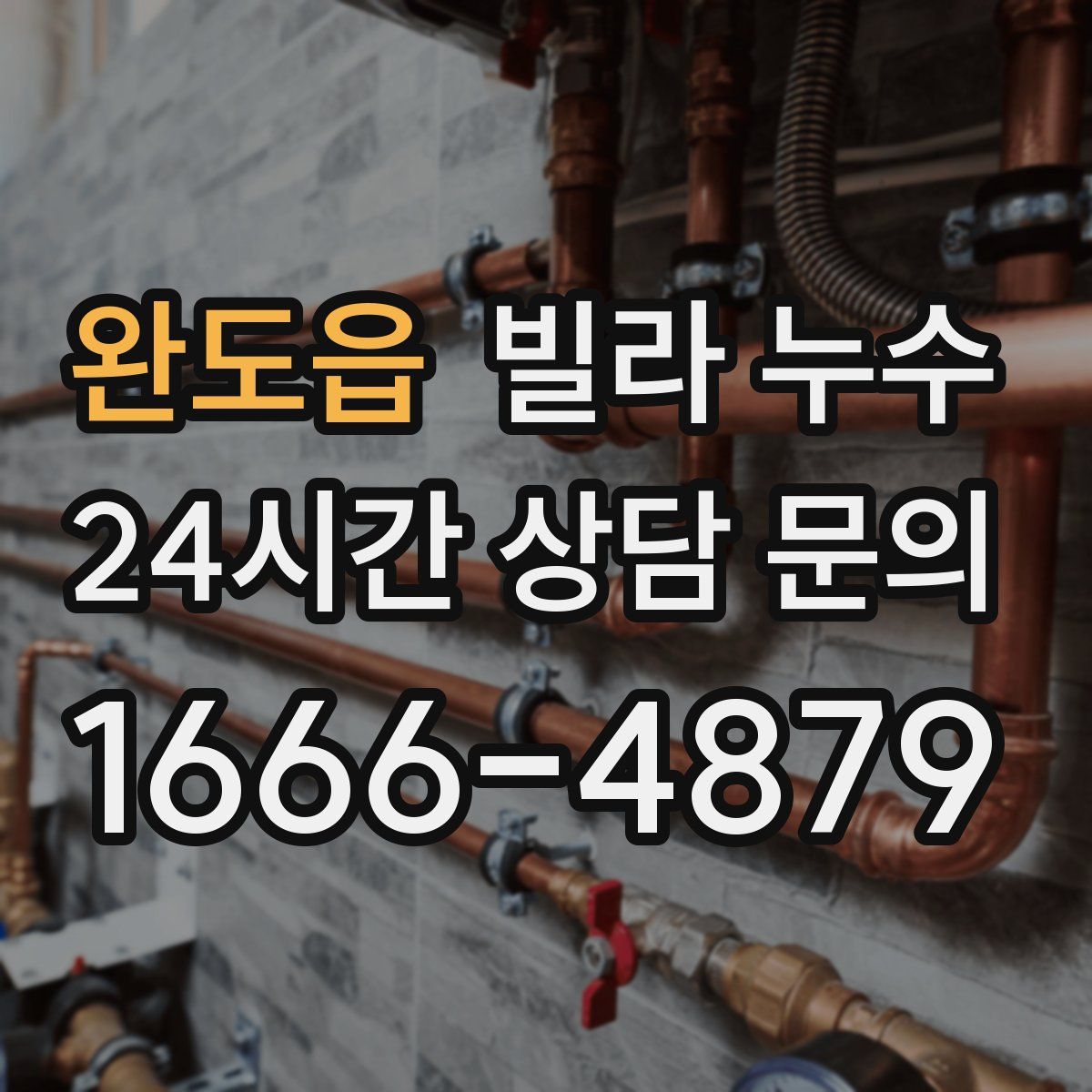 완도읍 빌라 누수