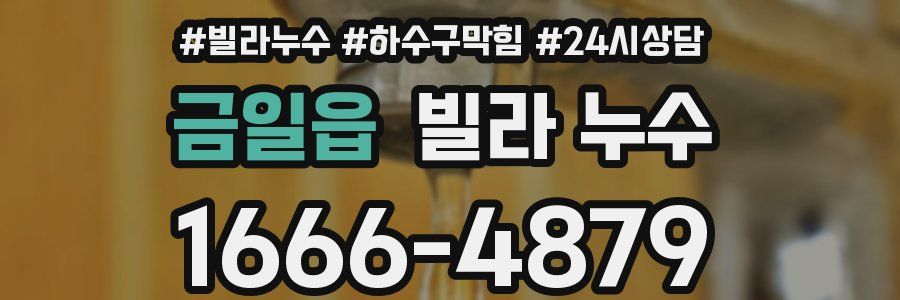 금일읍 빌라 누수
