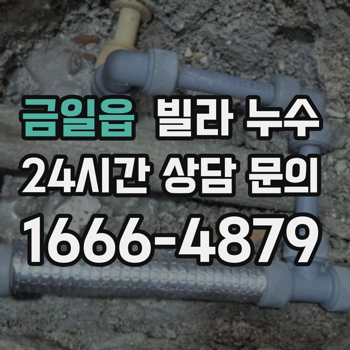 금일읍 빌라 누수