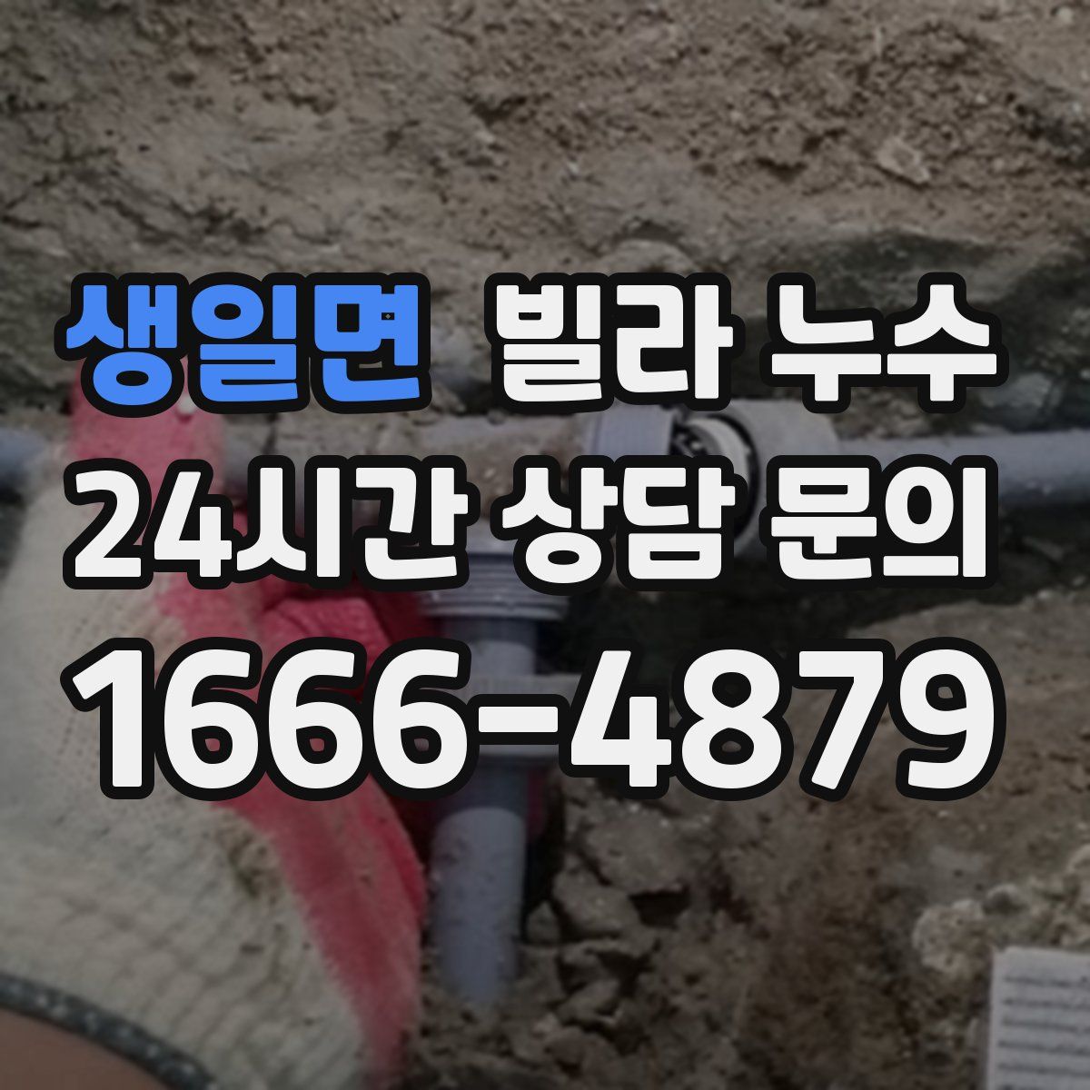 생일면 빌라 누수