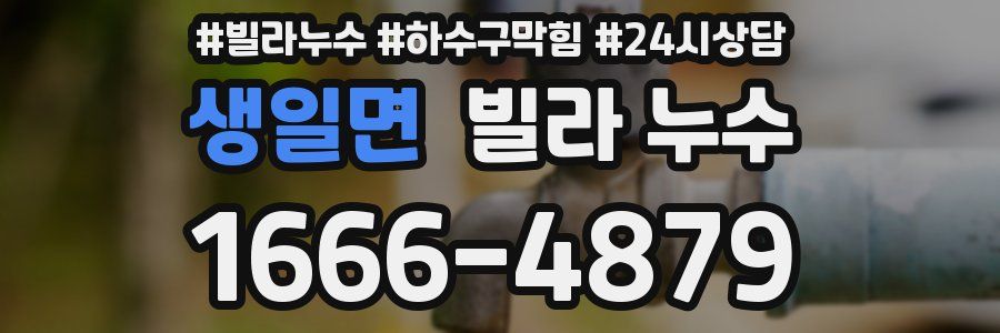 생일면 빌라 누수