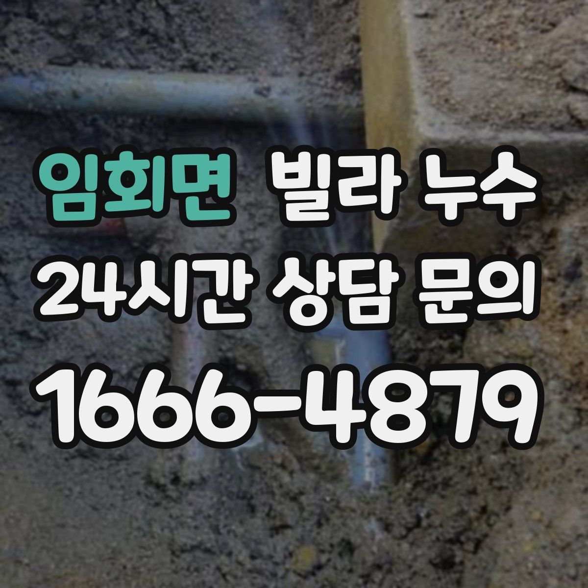 임회면 빌라 누수