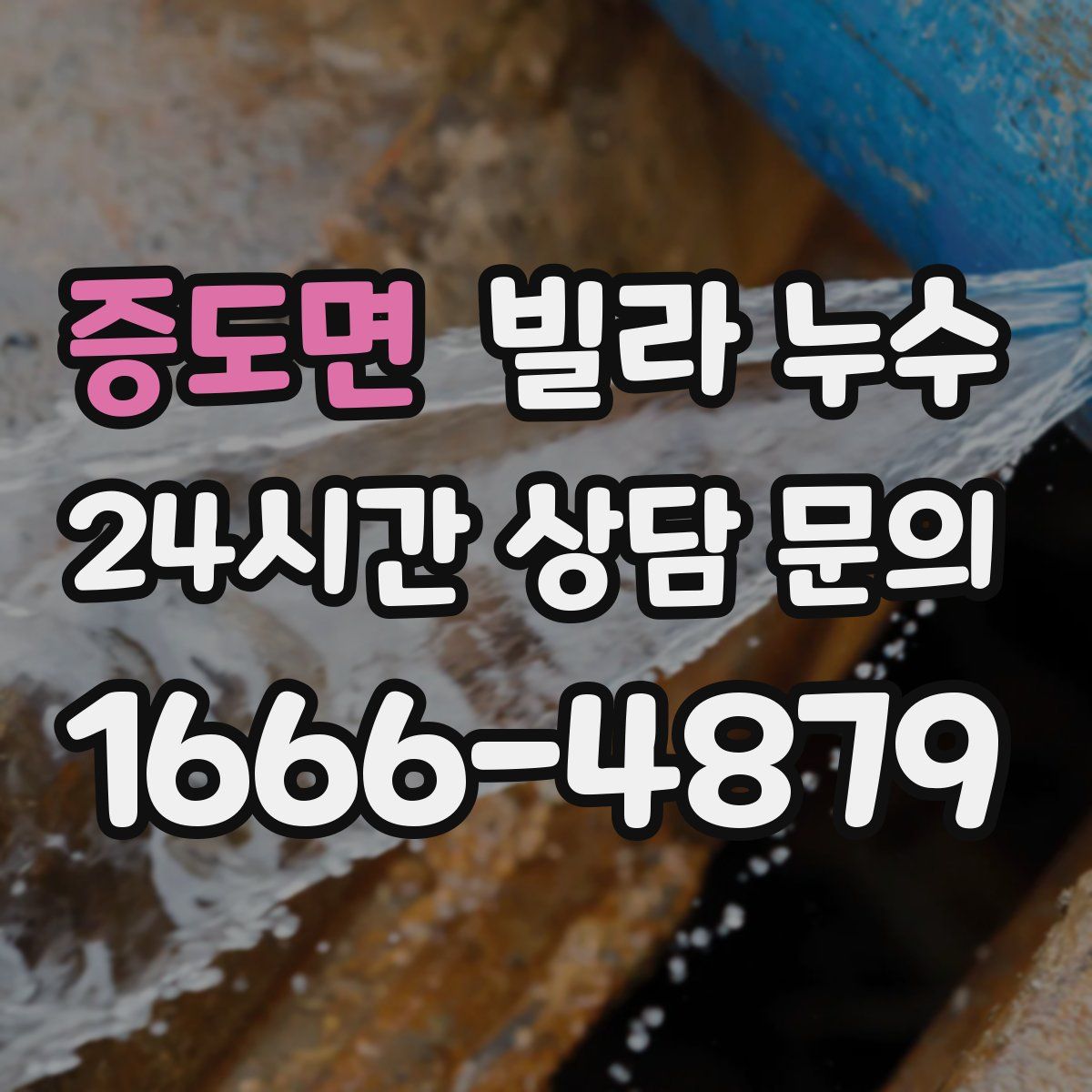 증도면 빌라 누수