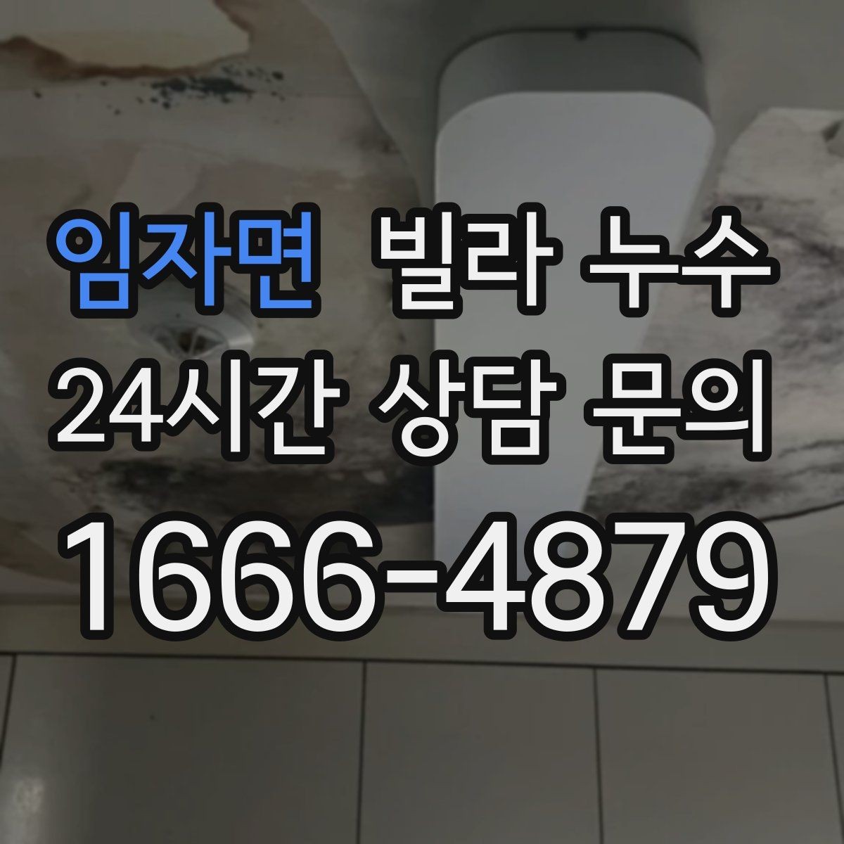 임자면 빌라 누수 세탁기 주변 물고임이 반복된다면
