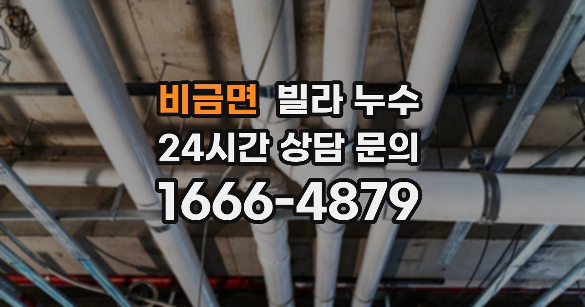 비금면 빌라 누수