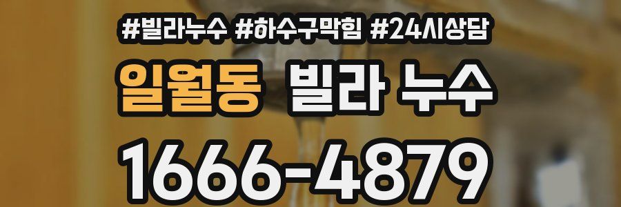 일월동 빌라 누수