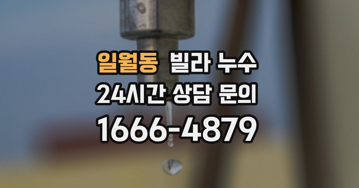 일월동 빌라 누수