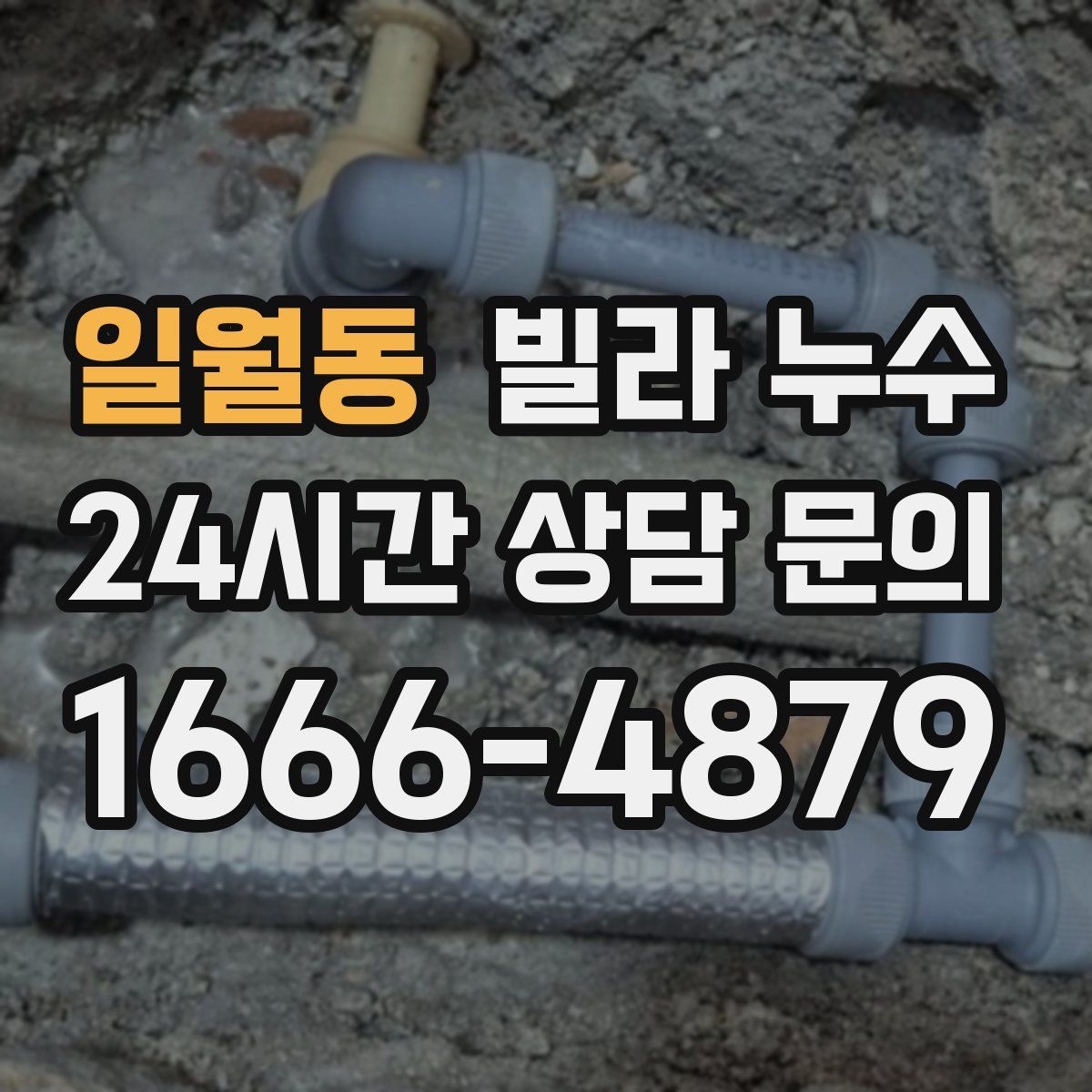 일월동 빌라 누수