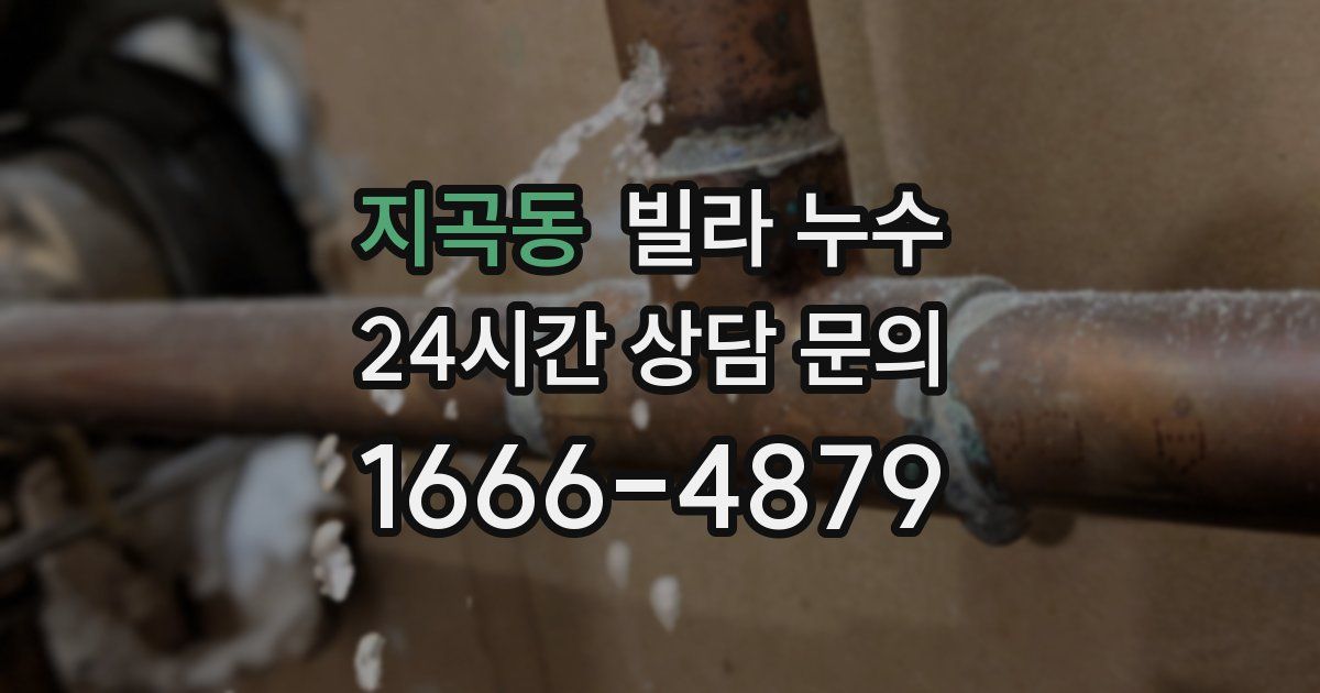 지곡동 빌라 누수