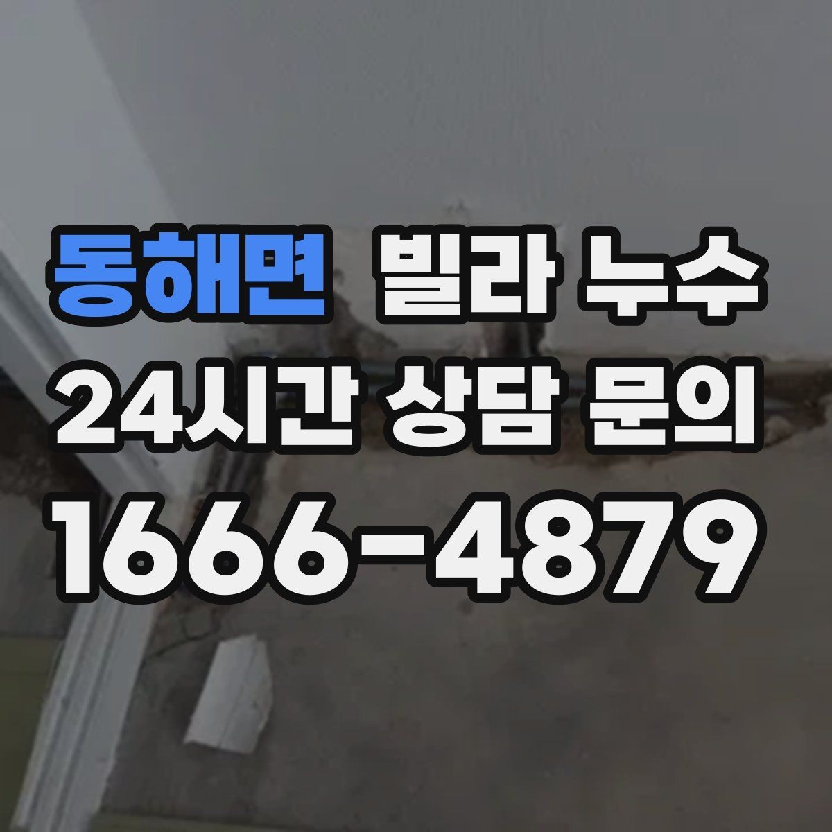 동해면 빌라 누수 욕실 타일 사이 물스밈이 늘었다면