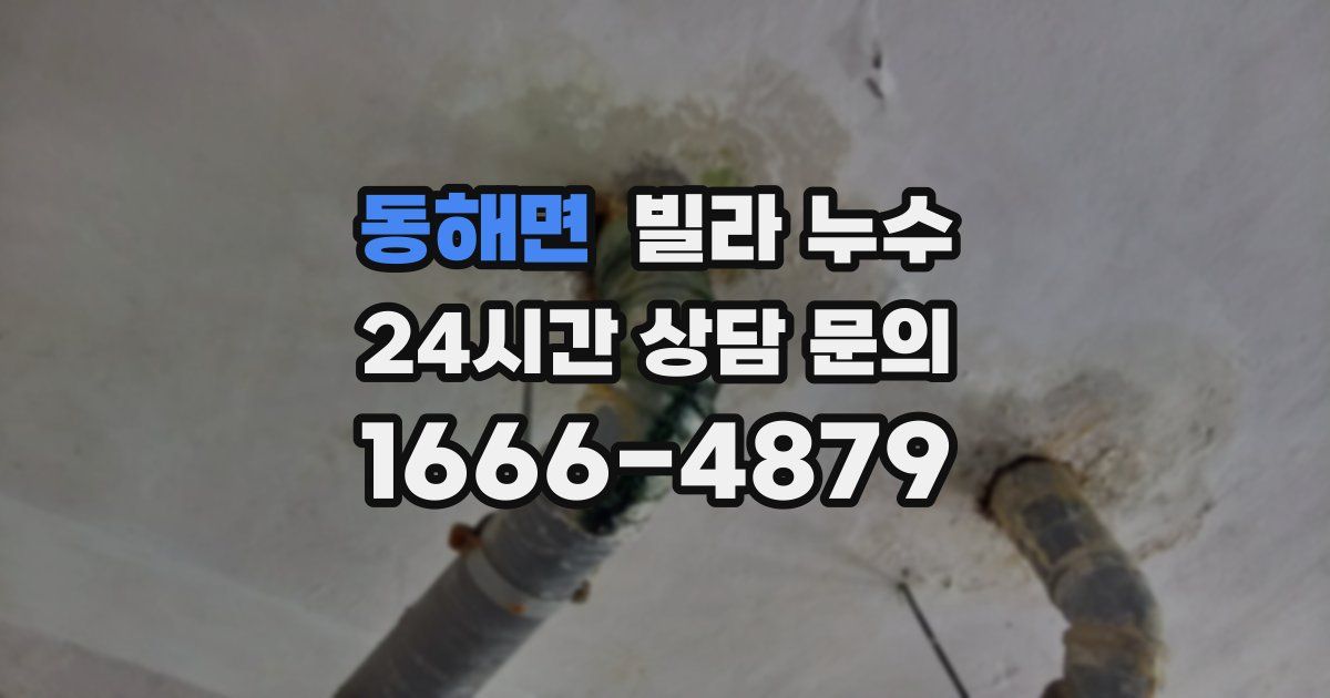 동해면 빌라 누수