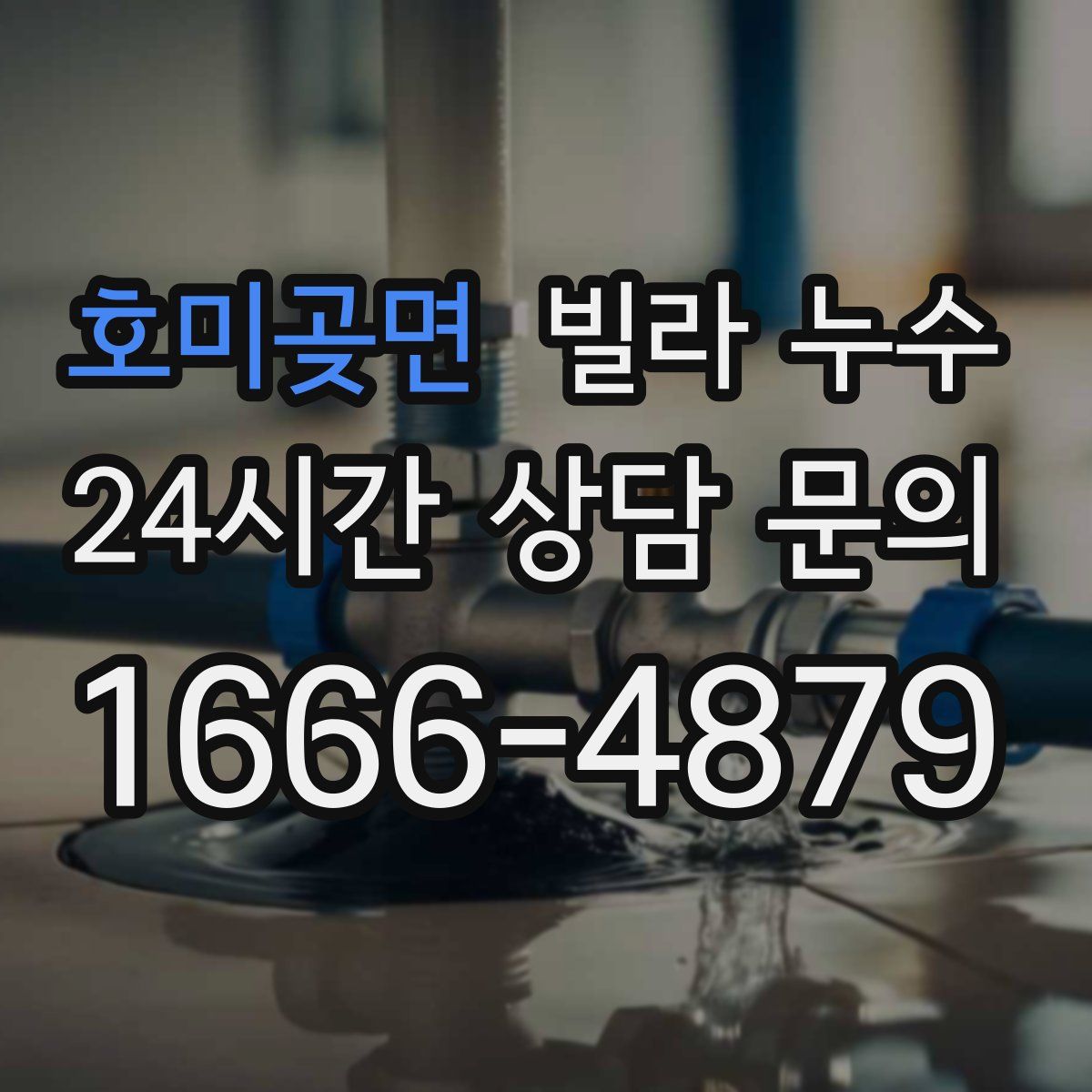 호미곶면 빌라 누수