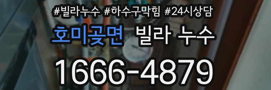 호미곶면 빌라 누수