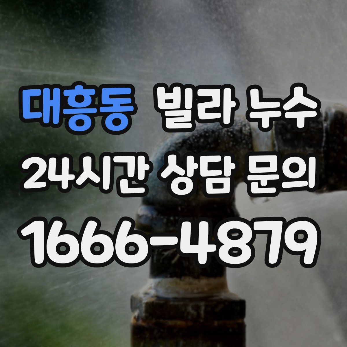 대흥동 빌라 누수