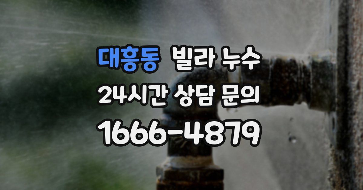 대흥동 빌라 누수