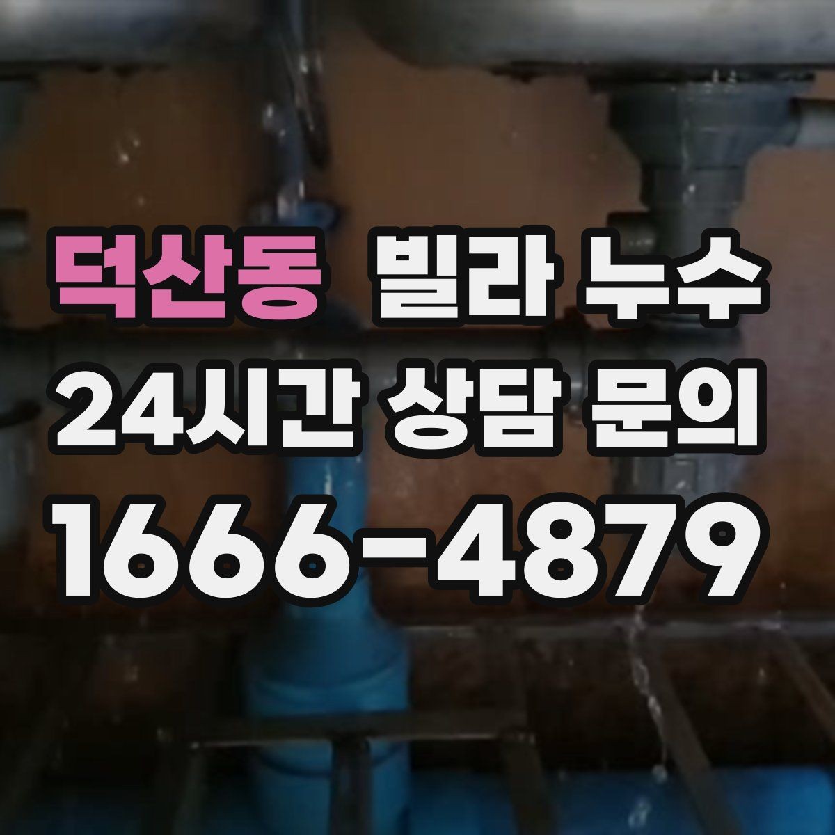 덕산동 빌라 누수 실리콘만 덧바르면 해결이 안 되는 경우
