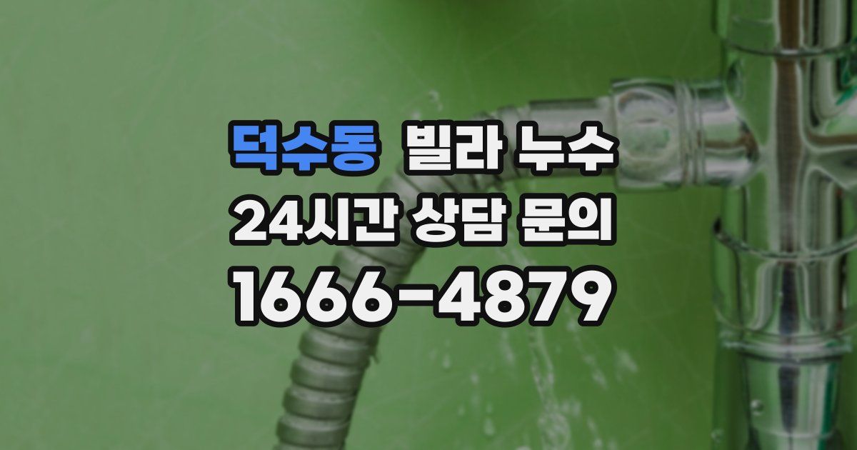 덕수동 빌라 누수