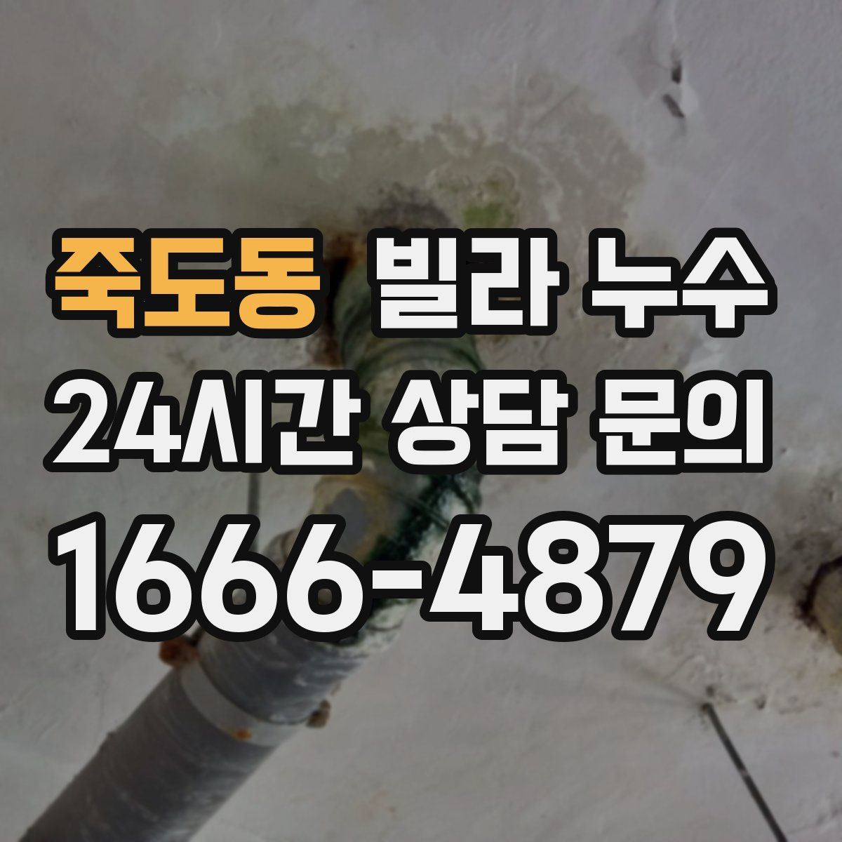 죽도동 빌라 누수