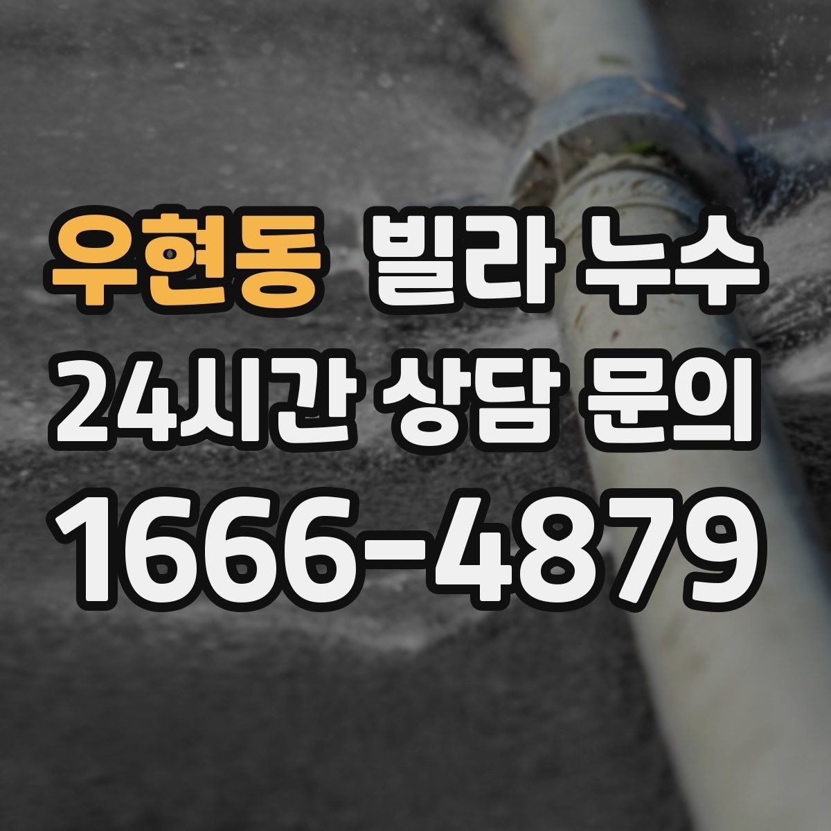 우현동 빌라 누수 폭우 후 벽이 젖는다면 방수 문제일 수 있어요