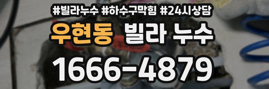 우현동 빌라 누수