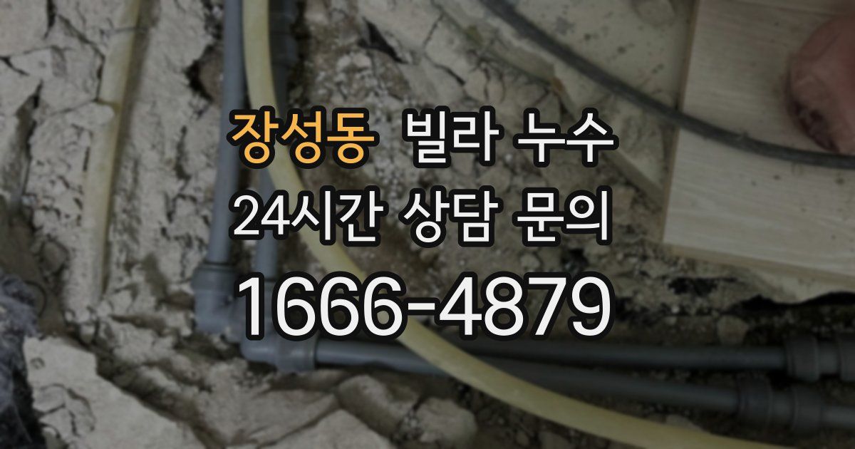 장성동 빌라 누수