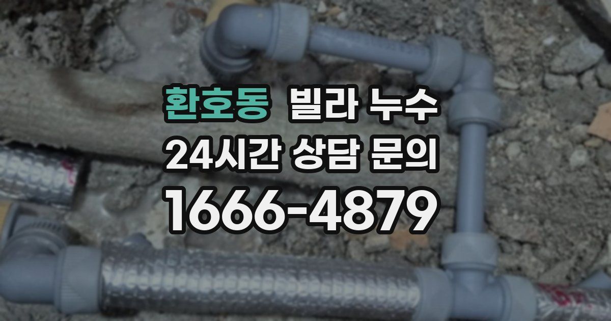 환호동 빌라 누수