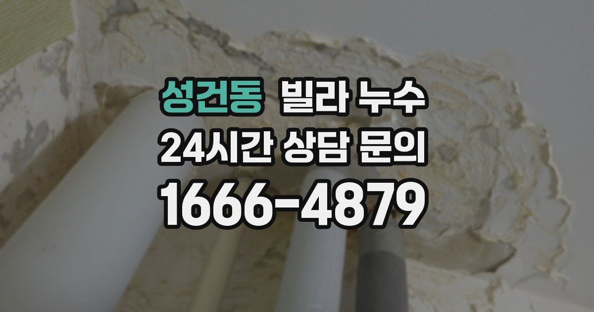 성건동 빌라 누수