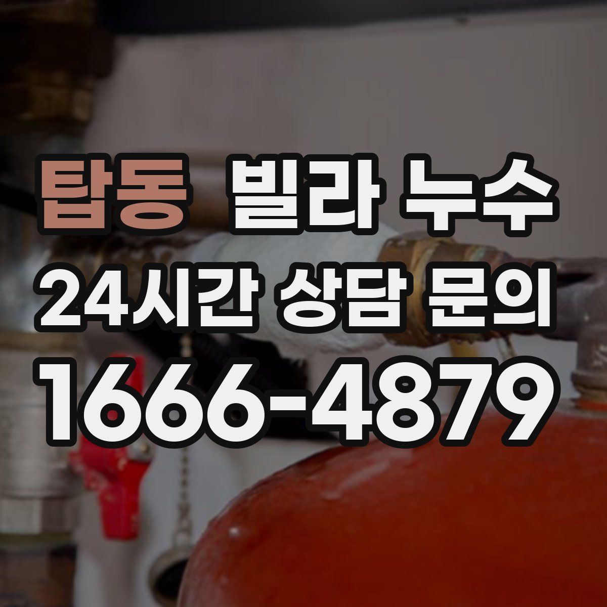 탑동 빌라 누수